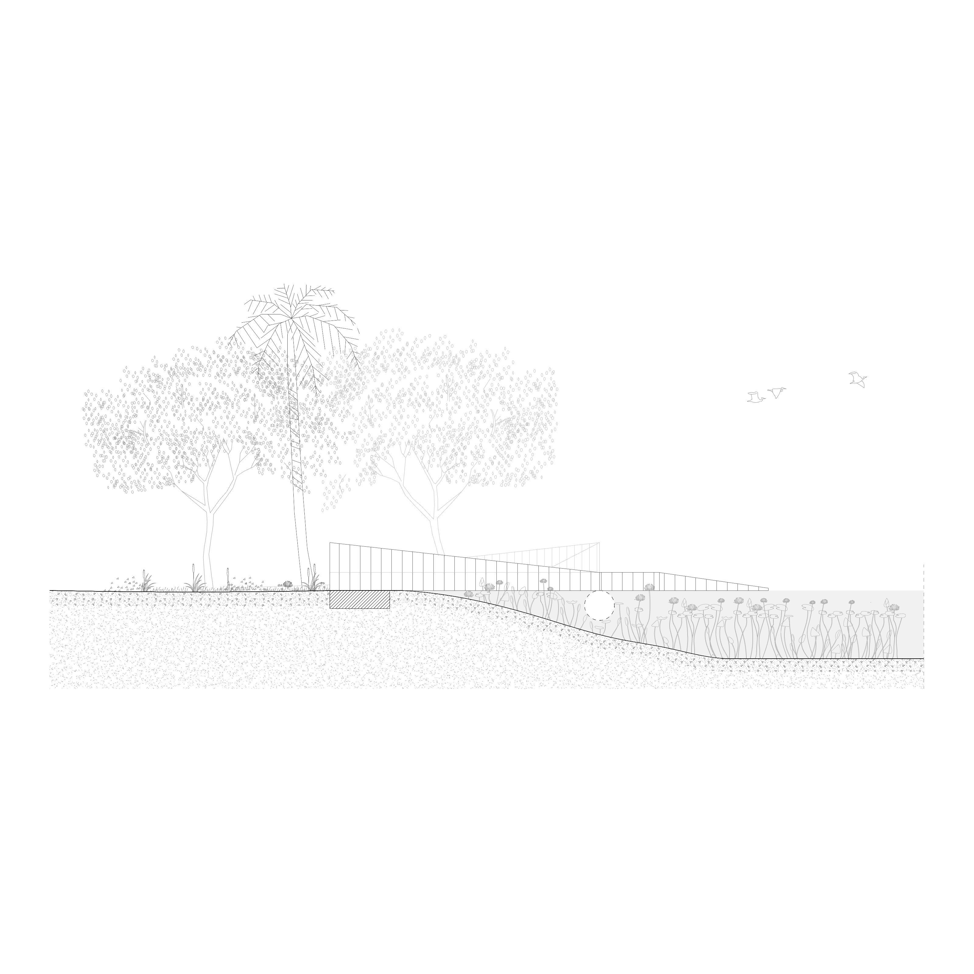 Sketch
